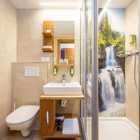 Hotel Alpina 4*