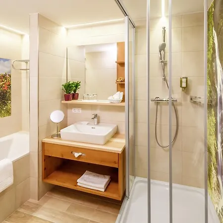 Hotel Alpina 4*