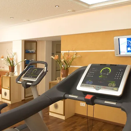 Hotel Alpina 4*
