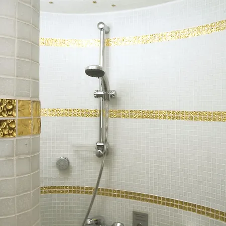 Hotel Alpina 4*